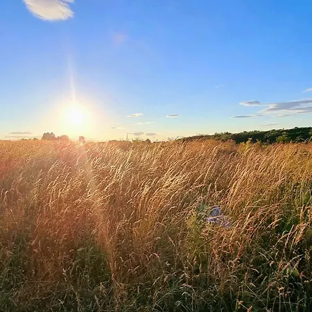 The Lobster Pot House Dom wakacyjny Filey